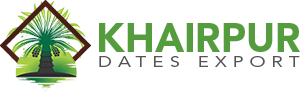 Khairpur Dates Export